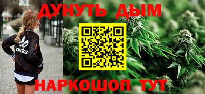 гидропоника Будённовск