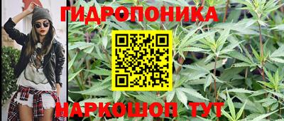 гидропоника Будённовск